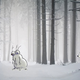Illustration for article titled Photoshopping Calvin and Hobbes into Real Life Makes Me Really Happy